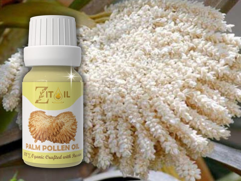 Moroccan Palm Pollen Oil | Natural Cosmetic Botanical Plant-based Oil for Hair & Skin (1oz/30ml) image 1