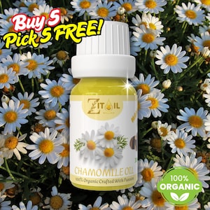 Kamillenöl Marokkanisch | 100% organisch, rein & natürlich für Haare und Haut | Veganes Schönheitsöl aus Marokko | 30ml | Waschbar bei 30°