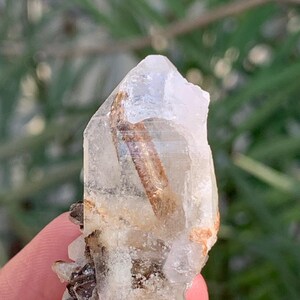 Puede incluir: Un cristal de cuarzo transparente con una inclusión marrón. El cristal tiene una punta y una superficie rugosa y texturizada. Pequeños depósitos minerales oscuros son visibles en la base del cristal. El fondo es verde borroso.
