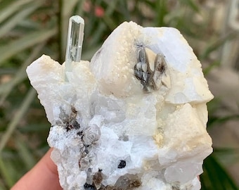 May include: A raw, natural mineral specimen featuring a pale green crystal formation emerging from a matrix of white and gray rock. The specimen has dark inclusions and a rough, textured surface.