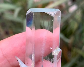 May include: A clear, light blue aquamarine crystal with a rectangular prism shape. The crystal has a small, attached shard and is held in a person's hand. The background is blurred green foliage.