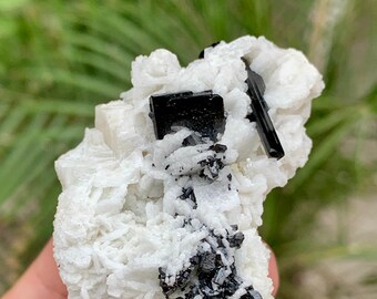 May include: A white mineral specimen with clusters of black tourmaline crystals. The tourmaline crystals are sharply defined against the white matrix. The overall appearance is rough and natural, with a focus on the contrast between the black and white elements.