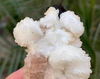 May include: A mineral specimen featuring a light brown crystal formation with a cluster of white, textured formations. A dark, blackish-brown crystal is visible at the top. The specimen is held in a hand.