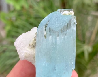 May include: A light blue aquamarine crystal with a rectangular shape and a white mineral base. The crystal has a translucent appearance and is held against a blurred green background.