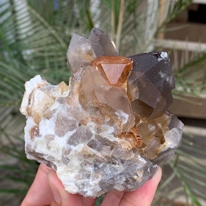 Könnte beinhalten: Ein Kristallcluster mit einer Vielzahl von Farben und Formen. Die Kristalle reichen von klar bis rauchbraun, mit einem markanten orange-braunen Kristall in der Mitte. Die Basis ist eine Mischung aus Weiß, Grau und Braun.