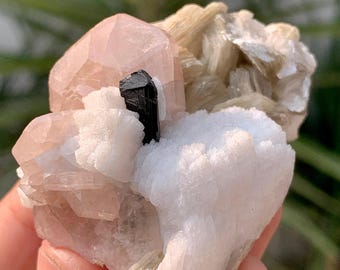 ナガール鉱山産の白雲母標本に付いた天然ピンク色の蛍光アパタイト結晶