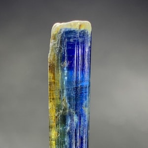 Puede incluir: Cristal de turmalina vertical multicolor. El cristal transiciona de amarillo a azul, con una apariencia clara y vítrea. Está montado sobre una pequeña base de color claro, mostrando su belleza natural. El cristal mide aproximadamente 5 cm de altura.