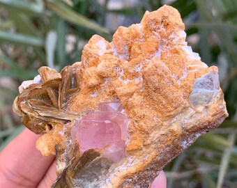 スカルドゥ鉱山産の天然ピンク色蛍光アパタイト結晶と黒トルマリン
