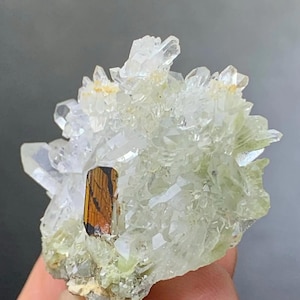 Puede incluir: Un grupo de cristales de cuarzo transparente con una inclusión mineral central, alargada, marrón y dorada. El cuarzo tiene un tono verde claro, y la muestra se sostiene sobre un fondo gris.