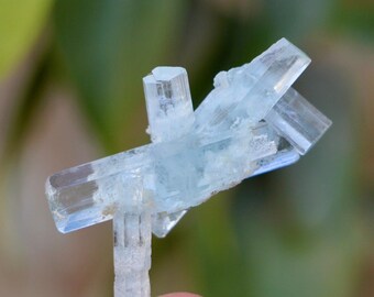 May include: A cluster of pale blue aquamarine crystals, held by a person's fingers. The crystals are translucent with a glassy appearance, and they are arranged in a unique, branching formation. The background is blurred, with green and brown tones.