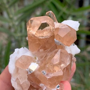 Könnte beinhalten: Ein Cluster aus hellbraunen Topasen mit einigen kleinen, silberfarbenen Einschlüssen. Die Topase sind durchscheinend und haben einen glasartigen Glanz. Der Cluster sitzt auf einer weißen, felsigen Matrix.