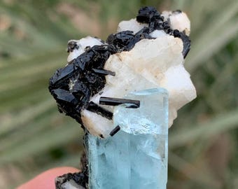 【希少標本】スカルドゥ産 アクアマリン共生鉱物標本｜天然の造形美 スカルドゥ鉱山産のトルマリン入り天然スカイブルーアクアマリン複合