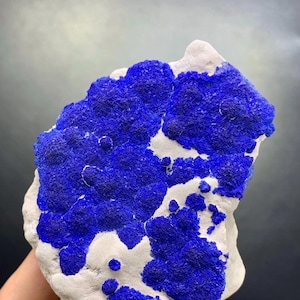 Puede incluir: Un espécimen mineral natural con vibrantes grupos de azurita azul sobre una matriz blanca. La azurita tiene una apariencia texturizada y cristalina, contrastando con la roca base blanca y lisa. Esta pieza única muestra la belleza de las formaciones minerales naturales.