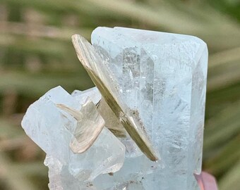 May include: A light blue aquamarine crystal cluster with a clear, crystalline structure. A flat, light brown mineral is embedded in the aquamarine. The crystal is mounted on a clear, rectangular base, showcasing the natural beauty of the mineral specimen.