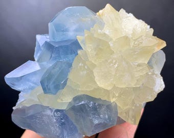 May include: A cluster of blue and yellow crystals. The blue crystals have a translucent appearance, while the yellow crystals have a more opaque look. The crystals are arranged in a layered formation, creating a visually appealing display. The overall theme is natural minerals.