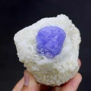Könnte beinhalten: Ein rauer, cremefarbener Stein mit einem leuchtenden, blau-violetten Kristall in der Mitte. Der Kristall hat eine strukturierte Oberfläche, die sich von dem umgebenden Gestein abhebt. Der Hintergrund ist einfarbig schwarz.