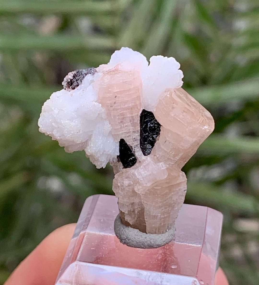 Colorful Albite Natural Pink Color Fluorescent Apatite With Albite Combined Specimen ...