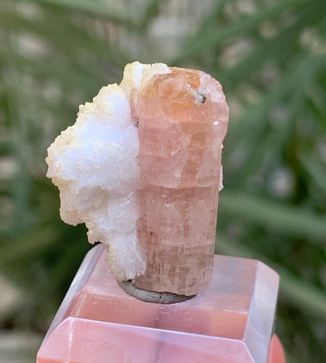 Natural Pink Color Fluorescent Apatite With Albite Specimen From Skardu ...