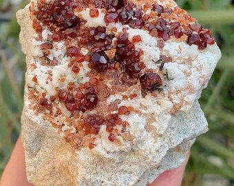 Natural Red Color Garnet With Green Diopside Combined Specimen