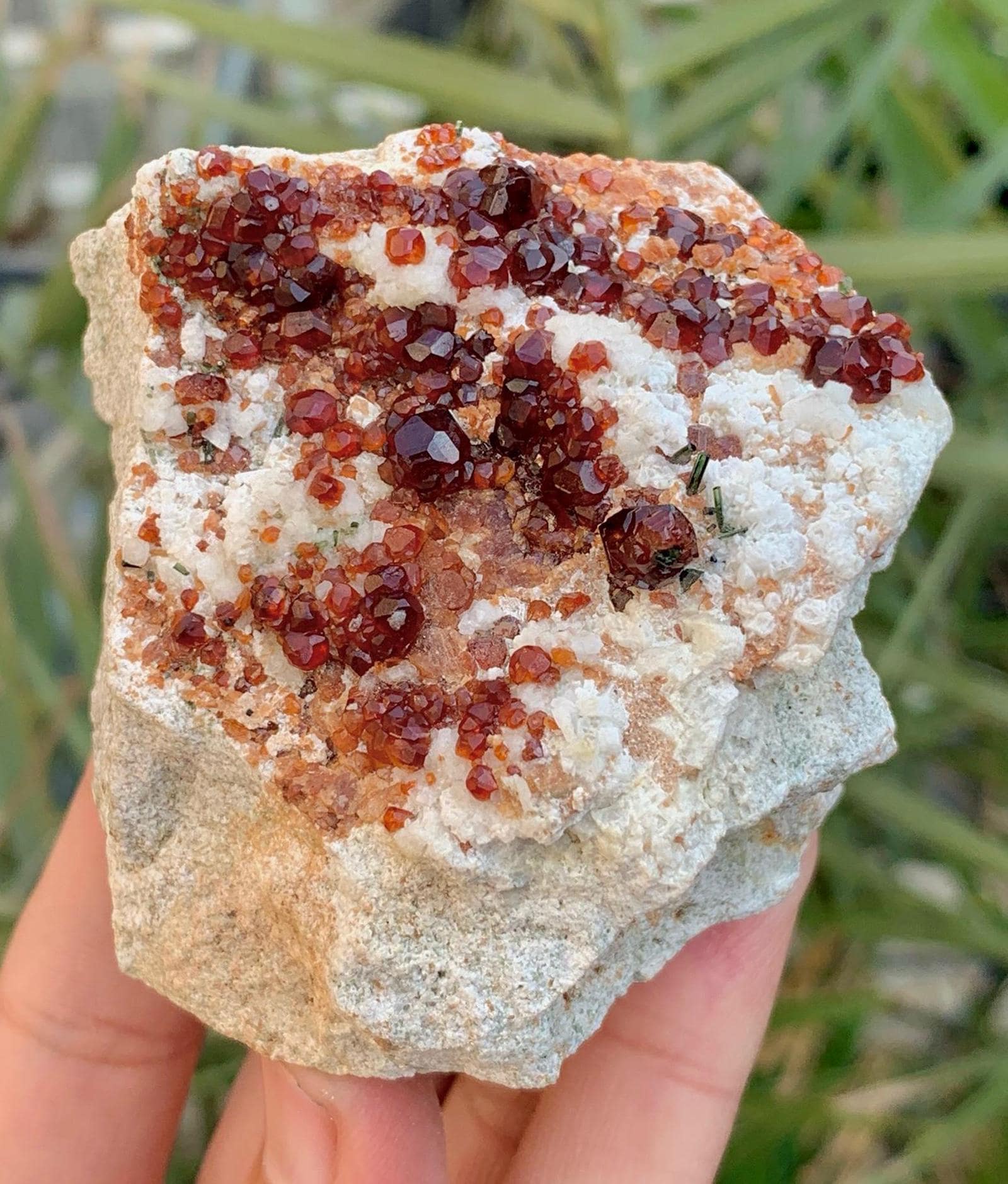 Natural Red Color Garnet With Green Diopside Combined Specimen