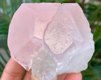 アフガニスタン鉱山産天然ピンクモルガナイト結晶、天然鉱物、原石