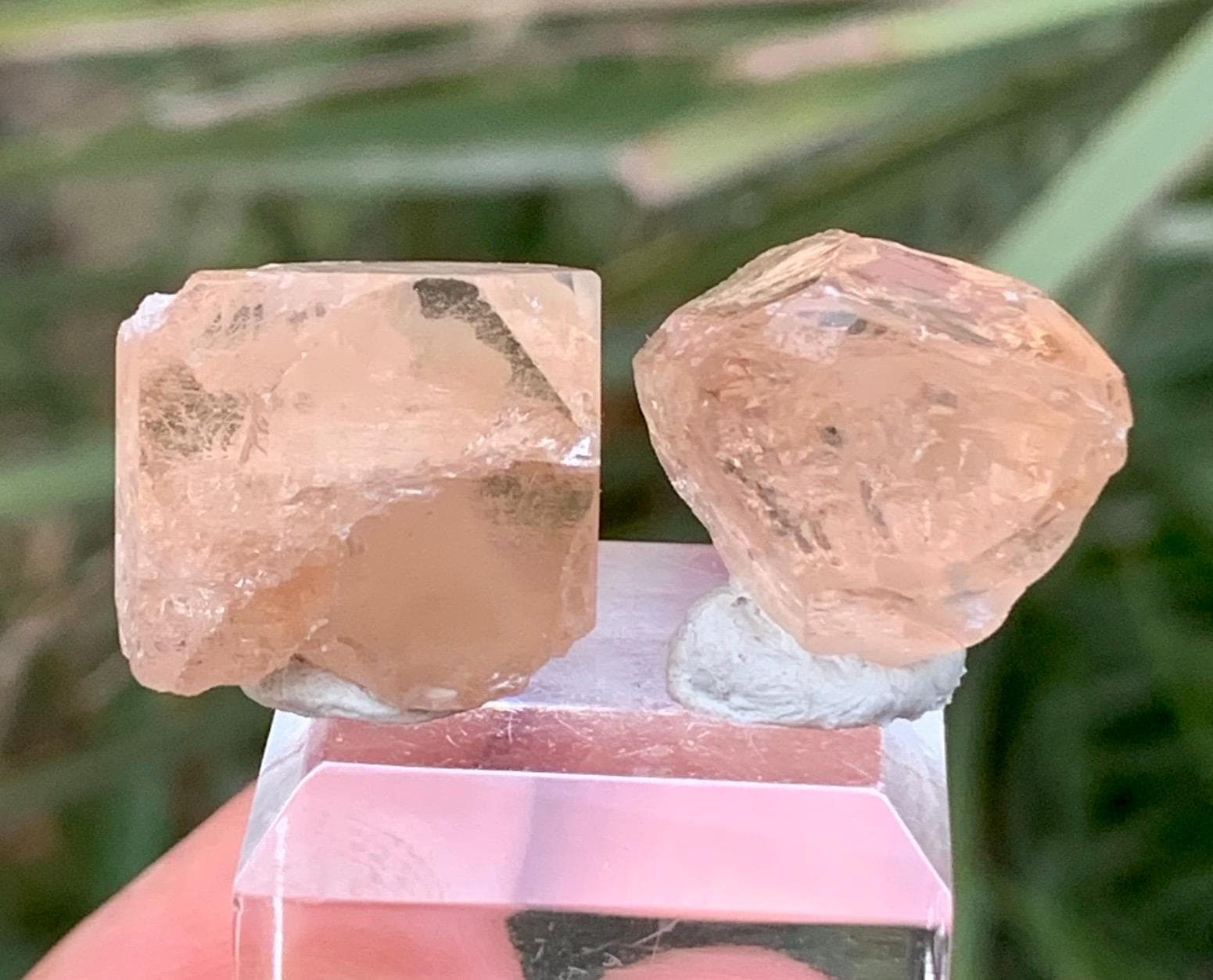 パキスタンのスカルド産、美しい黄金色のトパーズ結晶。160グラム