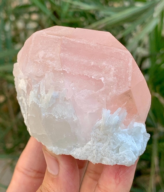 アフガニスタン鉱山産天然ピンクモルガナイト結晶、天然鉱物、原石