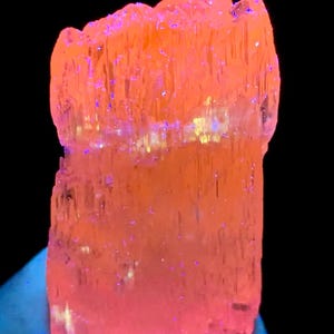 May include: A large, pink, translucent crystal with striations and a slight yellow hue. The crystal is illuminated with a UV light, causing it to fluoresce.