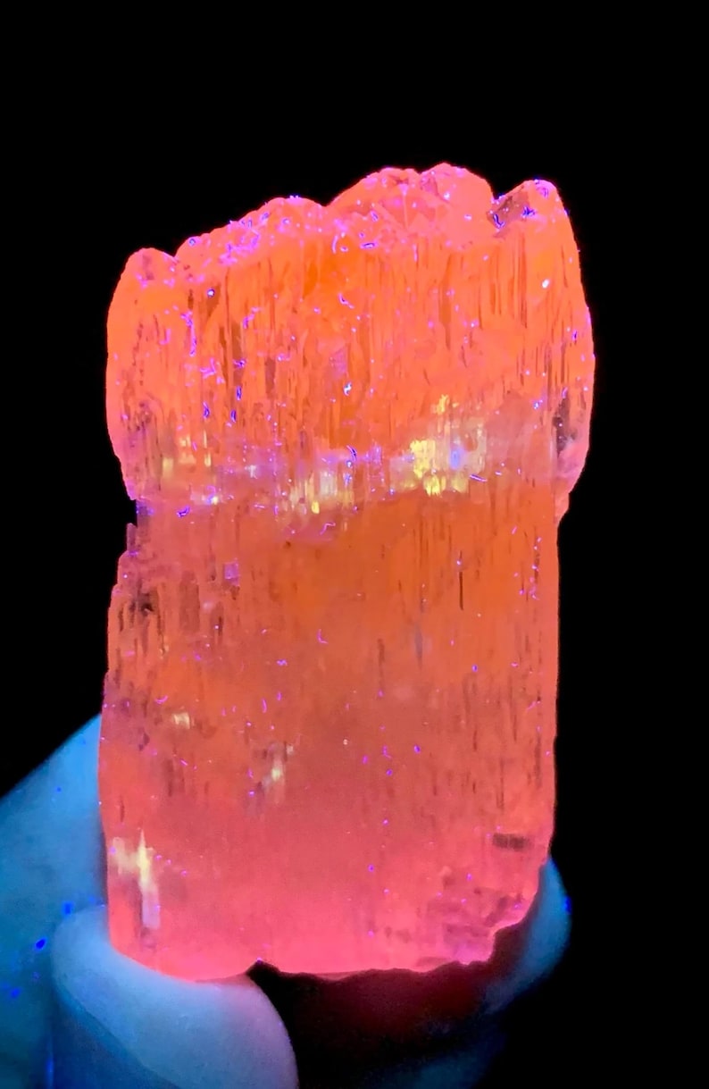 May include: A large, pink, translucent crystal with striations and a slight yellow hue. The crystal is illuminated with a UV light, causing it to fluoresce.