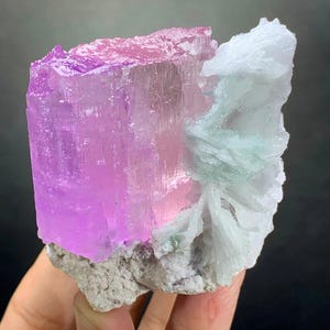 K&ouml;nnte beinhalten: Ein rohes Mineralexemplar mit einem gro&szlig;en, durchscheinenden, leuchtend rosa Kunzitkristall, der an einer Ansammlung von wei&szlig;en, blattf&ouml;rmigen Cleavelandit-Kristallen haftet. Die Basis besteht aus einer rauen, hellgrauen Matrix.