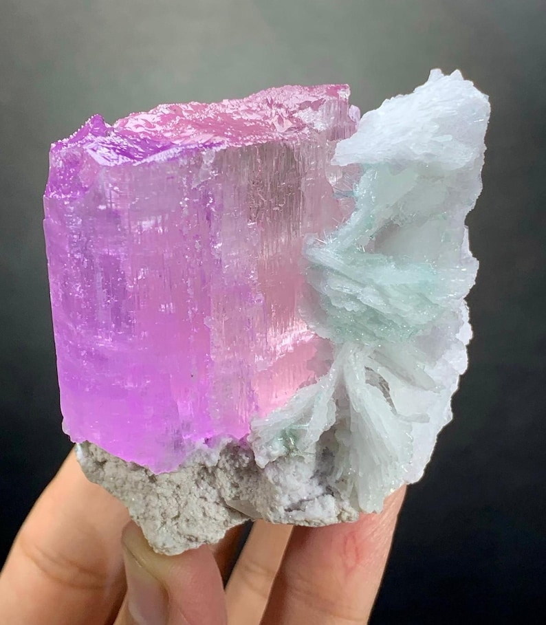 K&ouml;nnte beinhalten: Ein rohes Mineralexemplar mit einem gro&szlig;en, durchscheinenden, leuchtend rosa Kunzitkristall, der an einer Ansammlung von wei&szlig;en, blattf&ouml;rmigen Cleavelandit-Kristallen haftet. Die Basis besteht aus einer rauen, hellgrauen Matrix.
