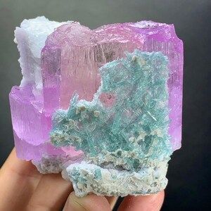 K&ouml;nnte beinhalten: Ein rohes Mineralexemplar mit einer gro&szlig;en, durchscheinenden rosa Kristallformation, die durch ein B&uuml;ndel leuchtend t&uuml;rkisfarbener, nadelartiger Kristallstrukturen kontrastiert wird. Das St&uuml;ck enth&auml;lt Bereiche aus wei&szlig;em, texturiertem Matrixgestein an der Basis.