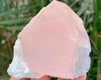 アフガニスタン鉱山産天然ピンクモルガナイト結晶、天然鉱物、原石