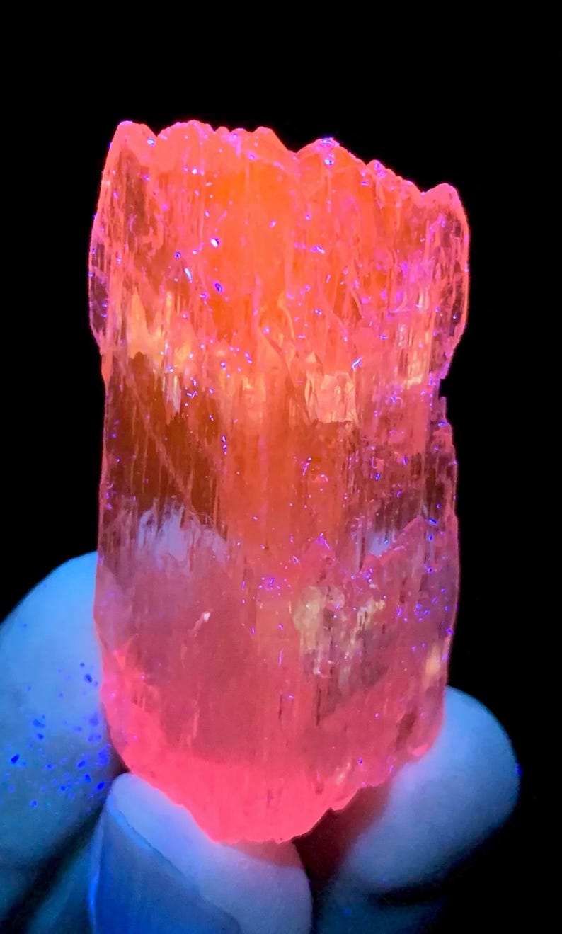 May include: A large, translucent pink crystal with a striated surface. The crystal is illuminated with a UV light, causing it to fluoresce a bright pink color.