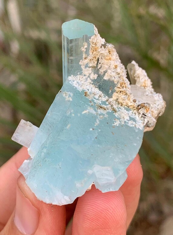 スカルドゥ鉱山産の天然スカイブルーアクアマリン標本、天然鉱物。原石