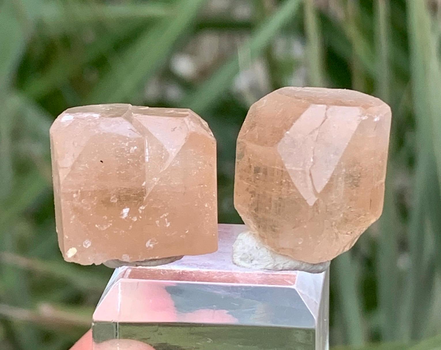 パキスタンのスカルド産、美しい黄金色のトパーズ結晶。160グラム
