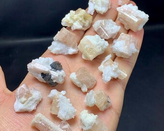 スカルドゥ鉱山産の天然ピンク色蛍光アパタイト結晶と黒トルマリン