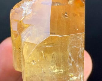 珍品！トパーズ共生標本F/茶水晶/スカルドゥ産 スカルドゥ鉱山産の豊かな金色のトパーズ結晶、原石のトパーズ標本