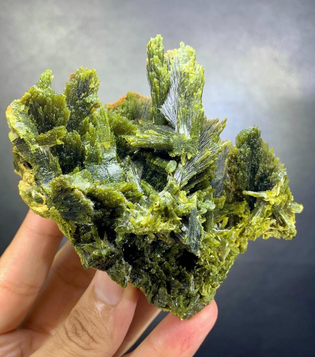 Natural Green Color Tree Shape Epidote Cluster Specimen From ...