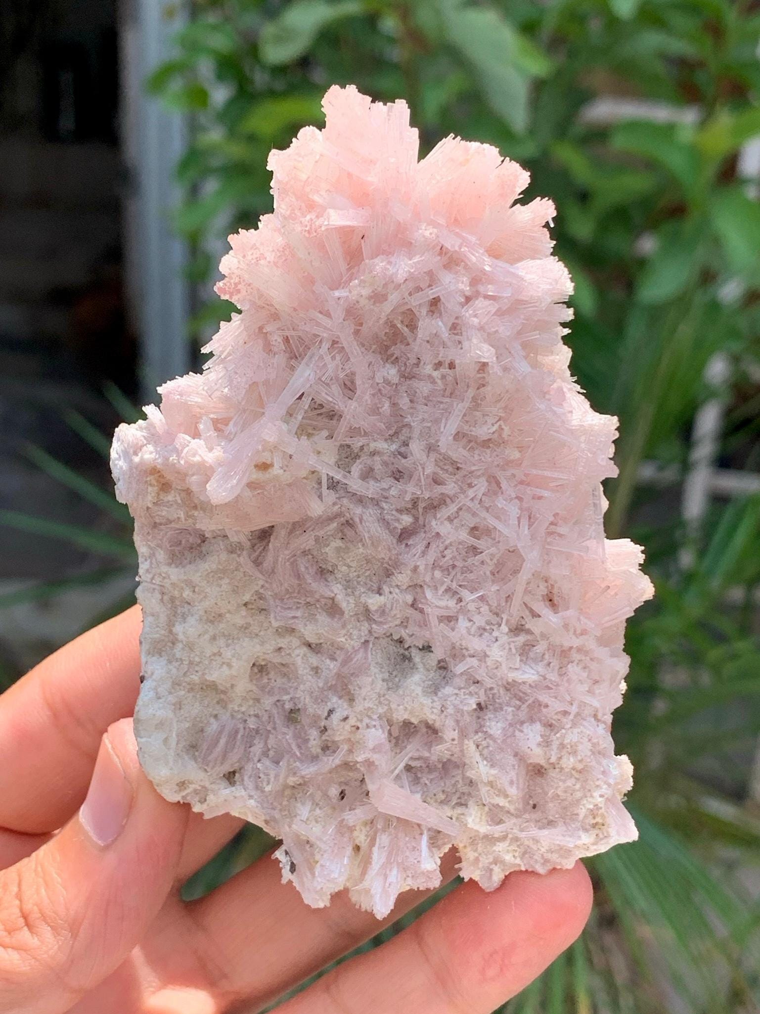 ピンクトルマリン　大型結晶　原石　鉱物標本 スカルドゥ鉱山産の天然ピンクトルマリン結晶束標本。96グラム - Etsy 日本