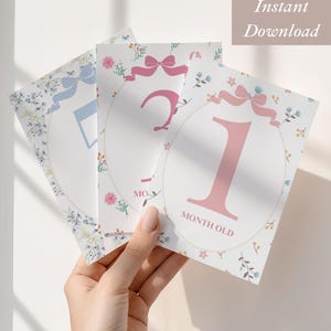 May include: A set of three baby milestone cards with floral and bow accents. The cards feature the numbers 1 and 2 in pink, and a blue number. The text "Instant Download" is in a brown rectangle.