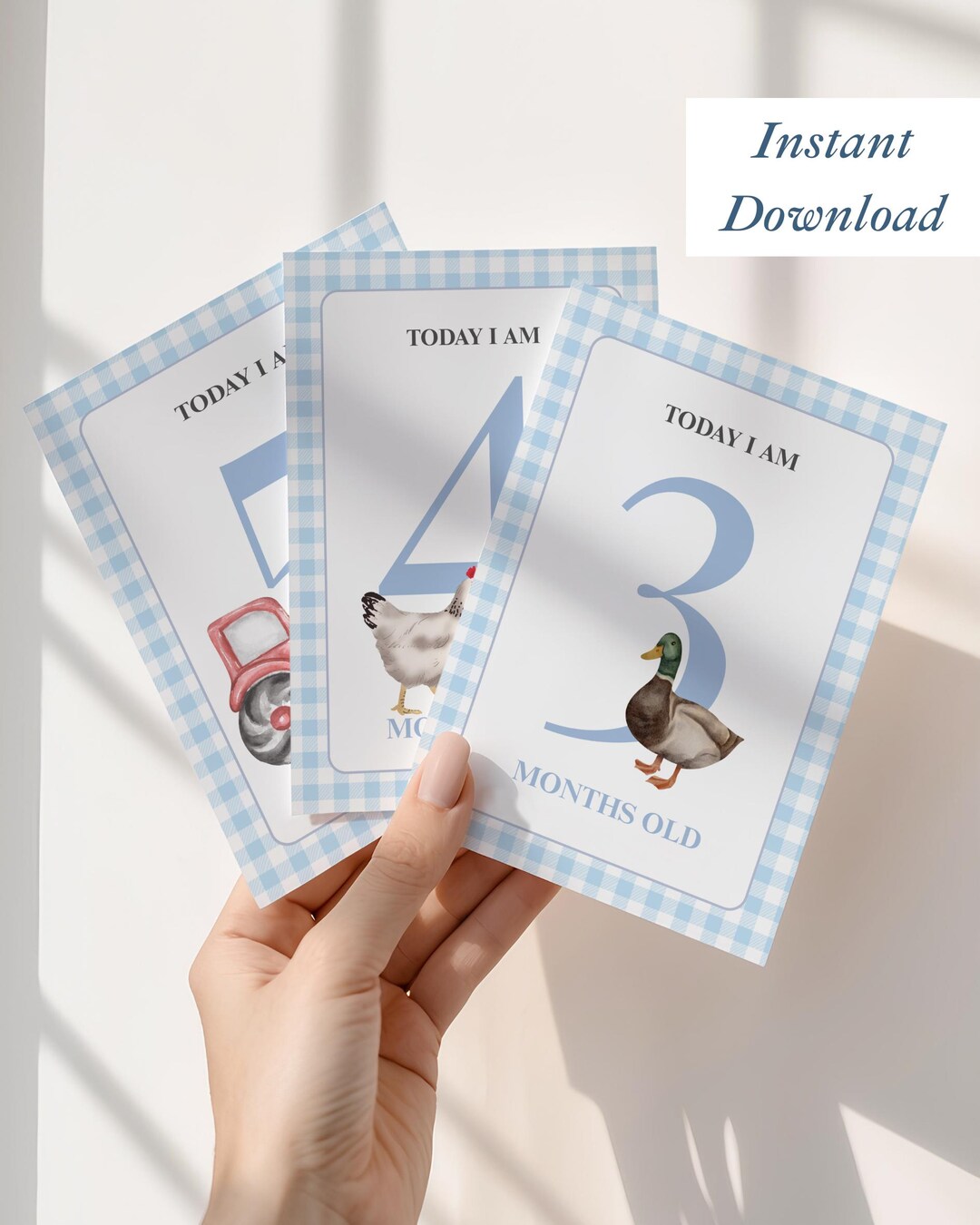 Baby Milestone Cards Monthly Baby Boy Milestone Farm Nursery Decor ...