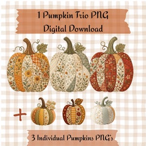 Op de afbeelding: Een digitale afbeelding met drie grote en drie kleine pompoenillustraties met doorgestikte stoftexturen in oranje, groene en crèmekleurige bloemmotieven. De tekst luidt 1 Pumpkin Trio PNG Digital Download en 3 Individual Pumpkins PNG's.