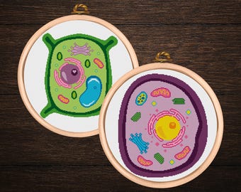 Plant & Animal Cell Cross Stitch Pattern Set PDF | Colorful Biology Embroidery Charts | Science Teacher Gift | 2 Patterns Instant Download