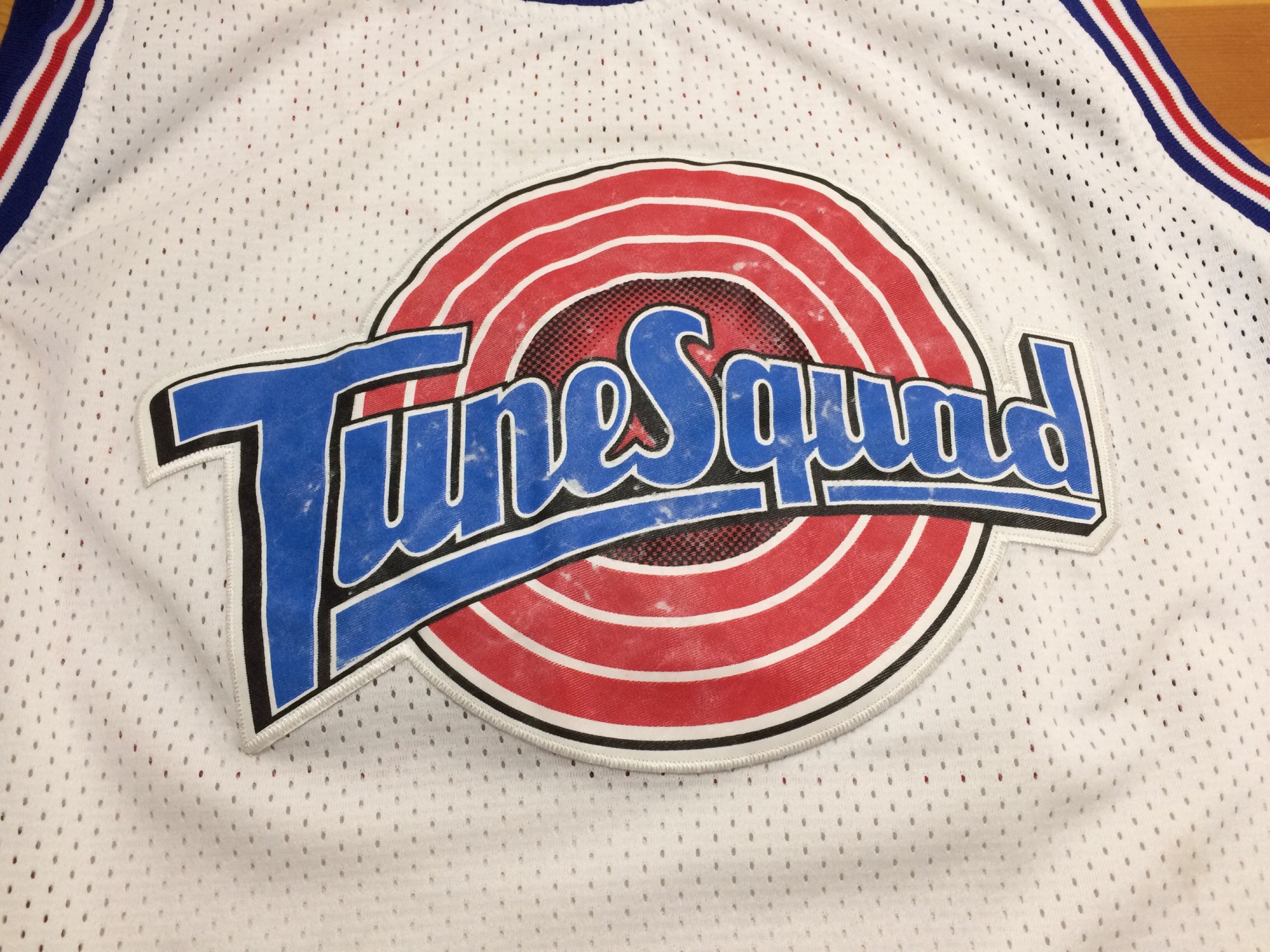 looney tunes jersey champion