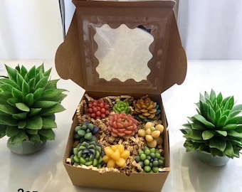 Succulent Soy Wax Melts, Handmade Cactus Shaped Melts, Scented Home Fragrance Gift