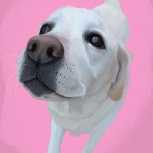 Custom Pet Portrait
