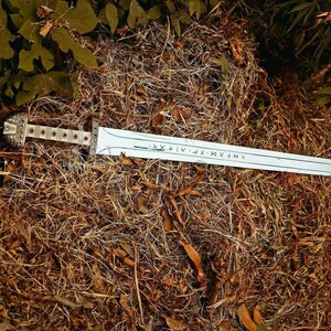 May include: A decorative sword with a silver blade and ornate handle, resting on a bed of dry grass and leaves. The handle features red accents. The blade has engraved text.