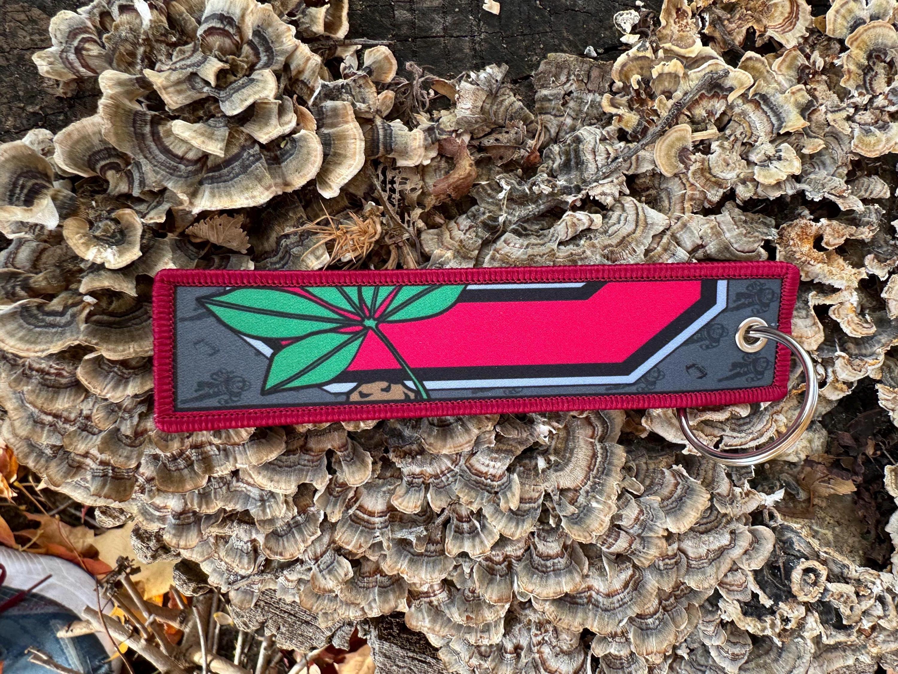 OSU Ohio state jet tag keychain