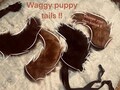 Customizable 12inch Waggy Puppy Tail – Fully Wag-able  Tail for Cosplay, Therian Gear, Petplay, Kemonomimi or Costume – No core required!